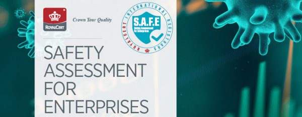 Safety Assessment for Enterprises Safety Assessment for Enterprises